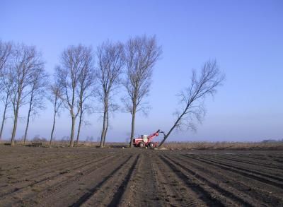 4 januari 2004, Grevesweg (Tiengemeten). Foto filmploeg Digna Sinke