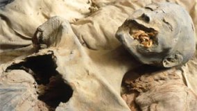 Misschien de mummie van Nefertiti