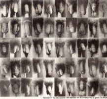 100 Objects to represent the world, no 67: the phallus