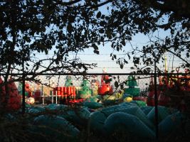 Terschelling, 23 oktober 2007