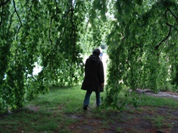 Treurbeuk in het Beatrixpark, Amsterdam